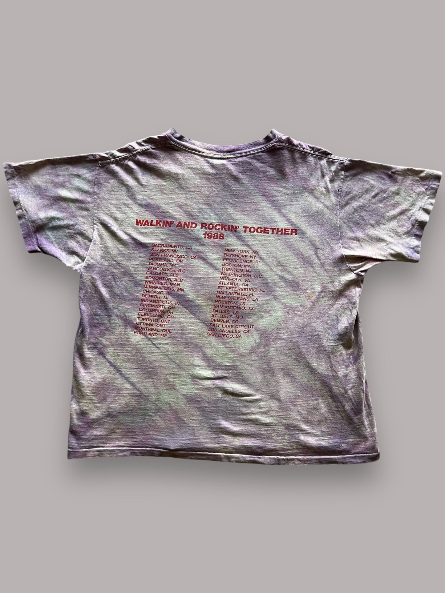 1988 7 Seconds Tour Shirt