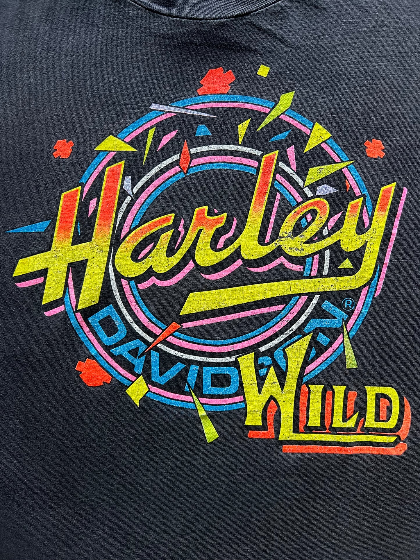 90s Harley Davidson ‘Wild’ Shirt